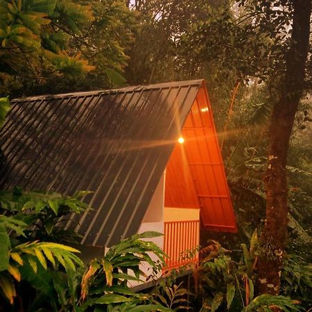 Munnar Home Stay Teadrops Plantation Villa Exteriör bild