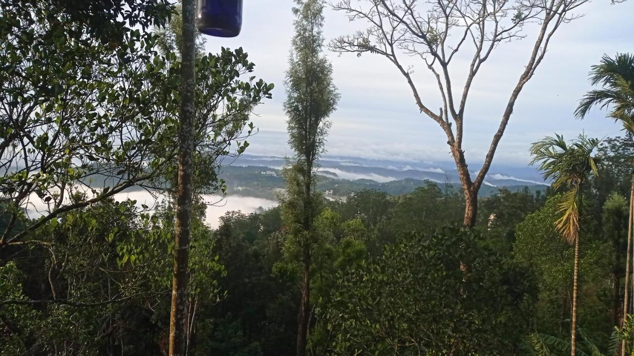 Munnar Home Stay Teadrops Plantation Villa Exteriör bild