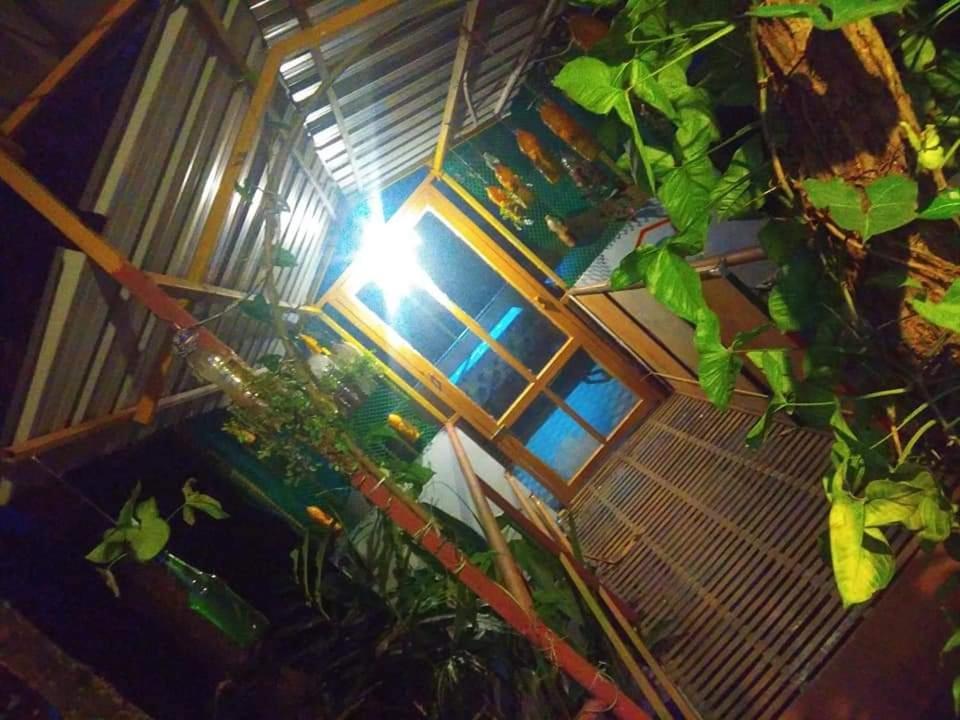 Munnar Home Stay Teadrops Plantation Villa Exteriör bild