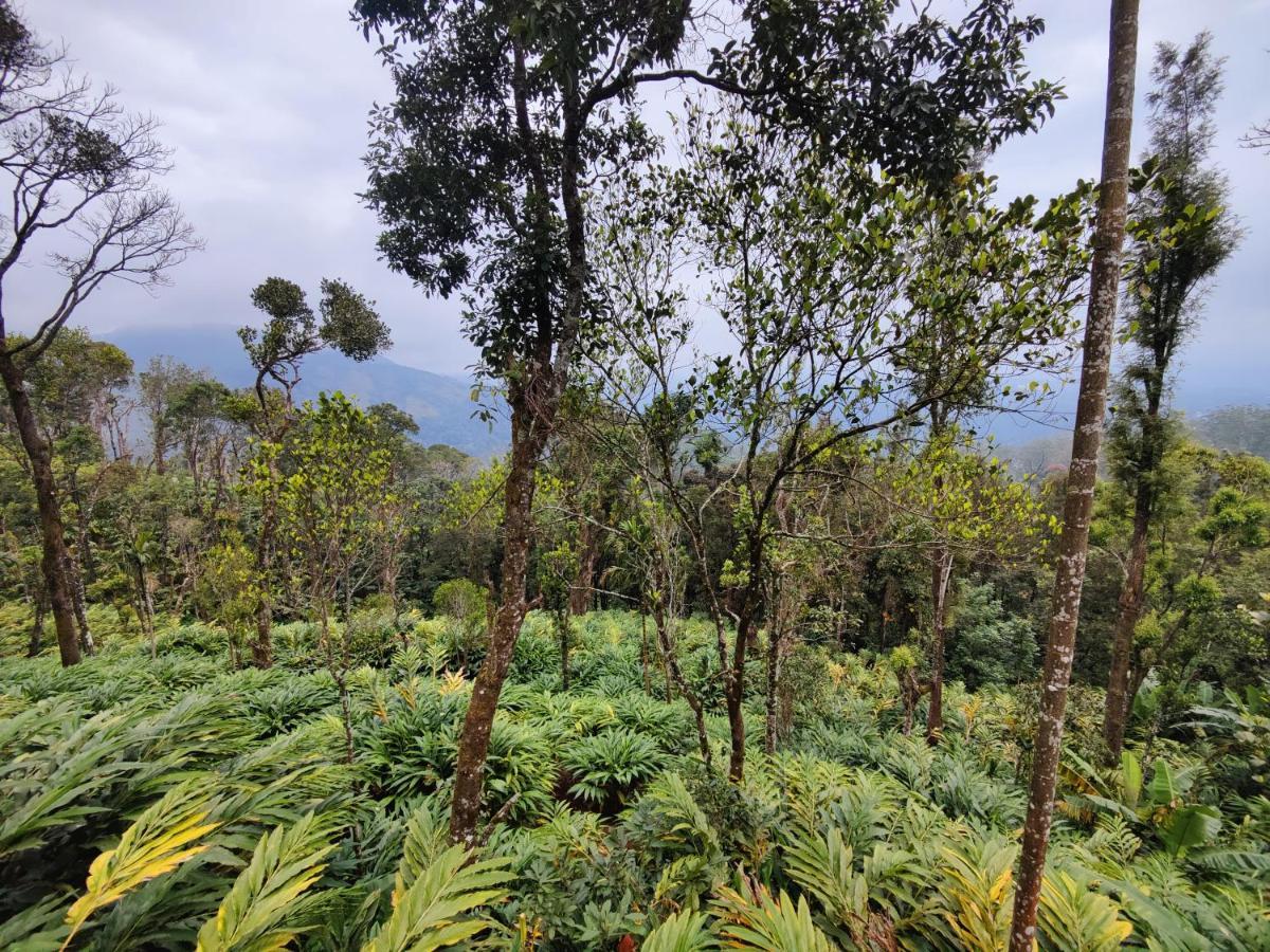 Munnar Home Stay Teadrops Plantation Villa Exteriör bild