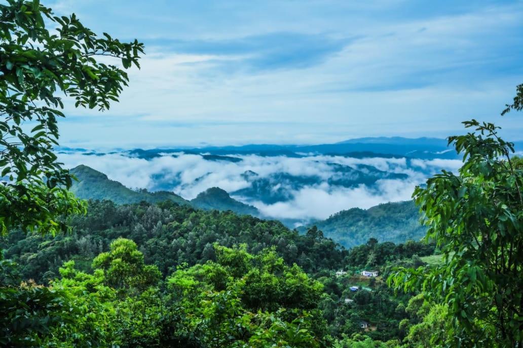Munnar Home Stay Teadrops Plantation Villa Exteriör bild