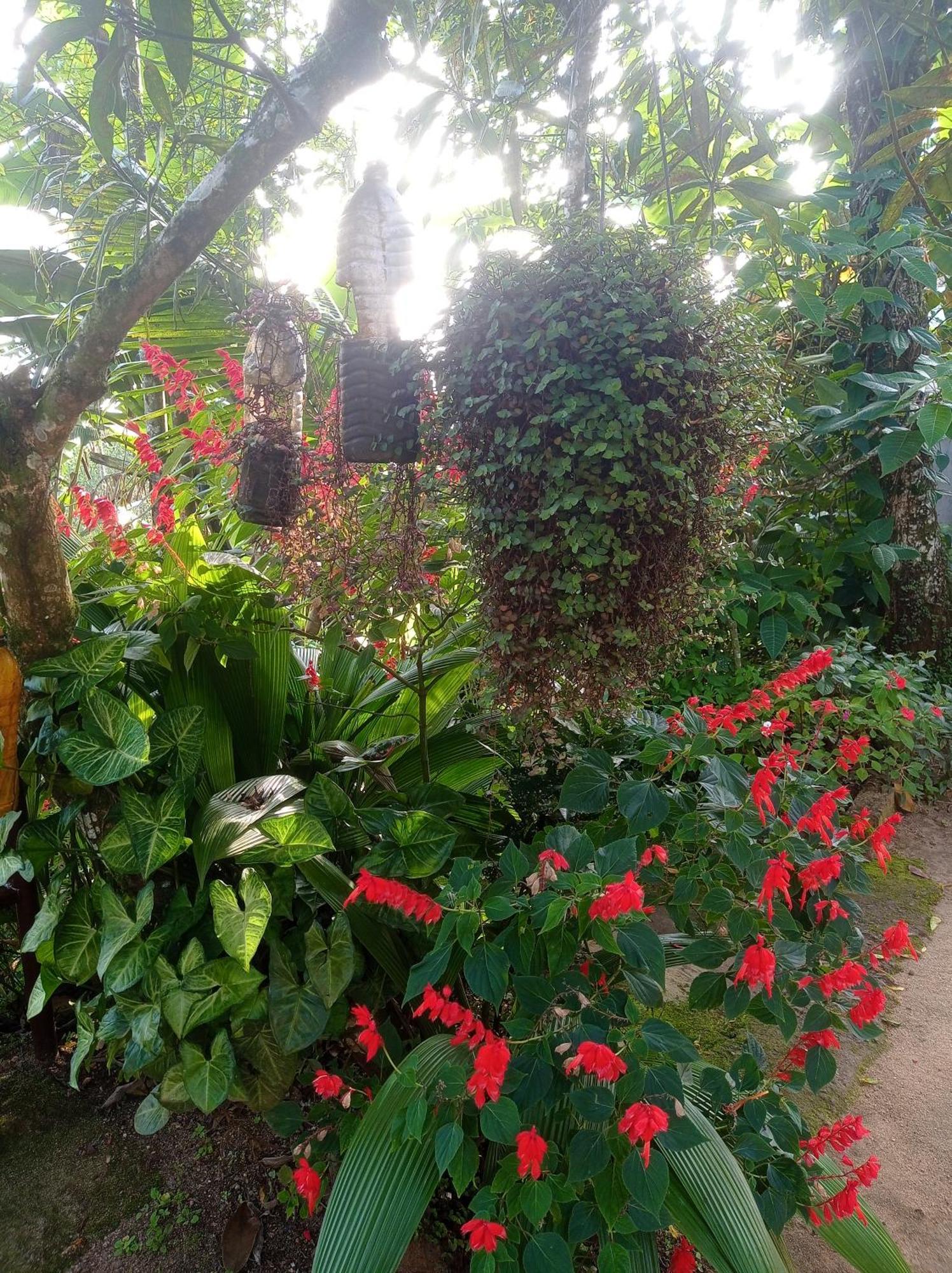 Munnar Home Stay Teadrops Plantation Villa Exteriör bild