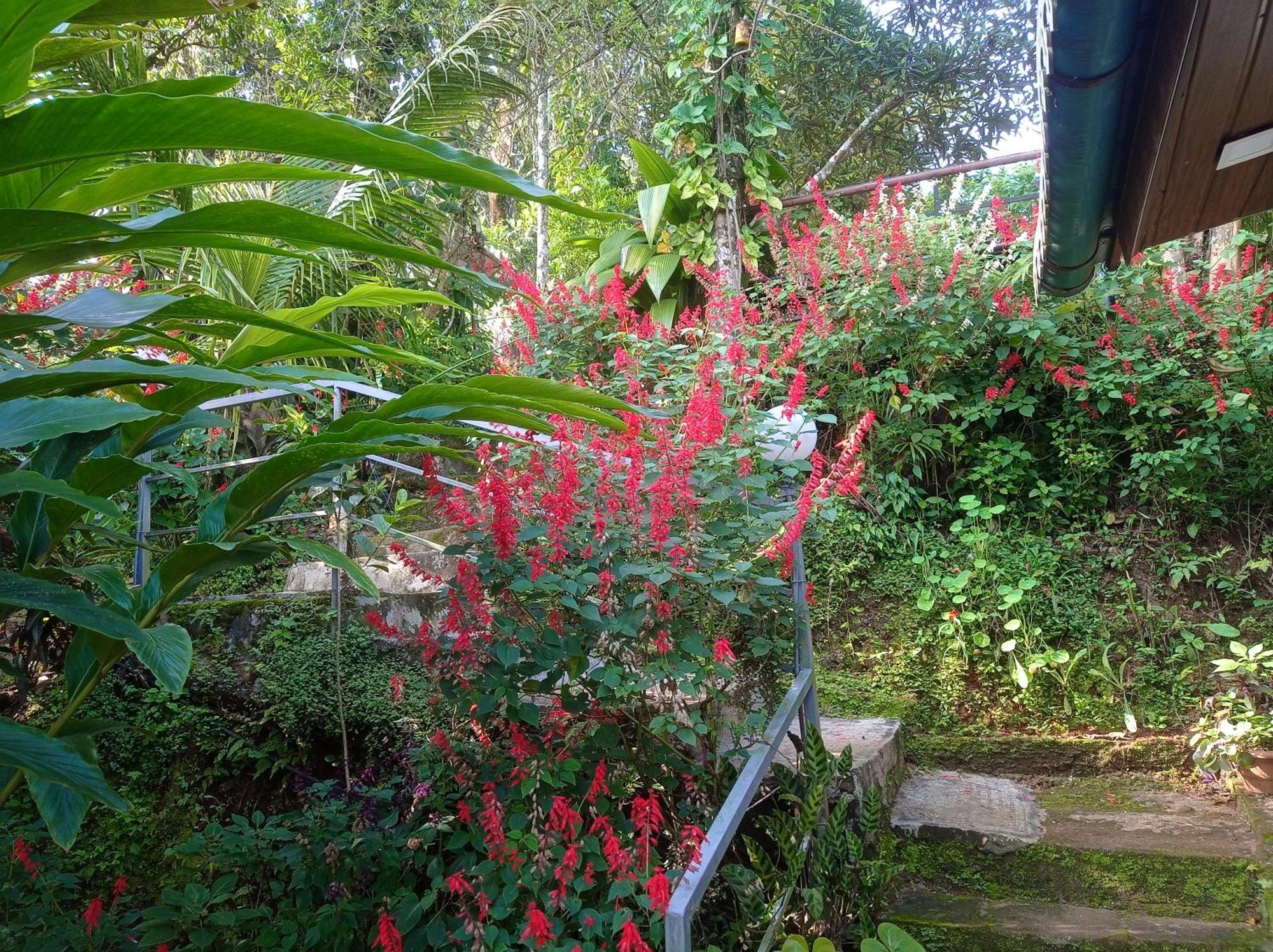 Munnar Home Stay Teadrops Plantation Villa Exteriör bild
