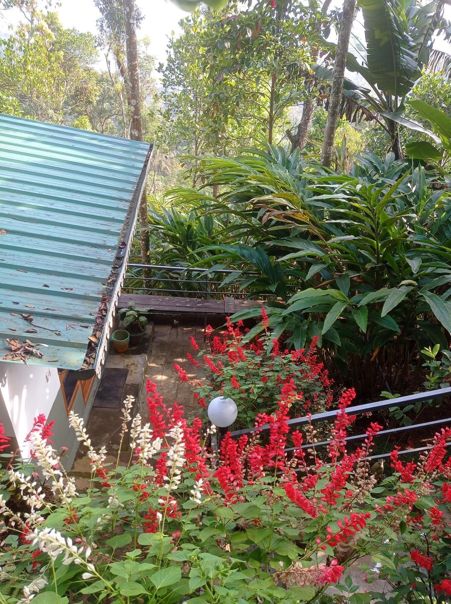 Munnar Home Stay Teadrops Plantation Villa Exteriör bild