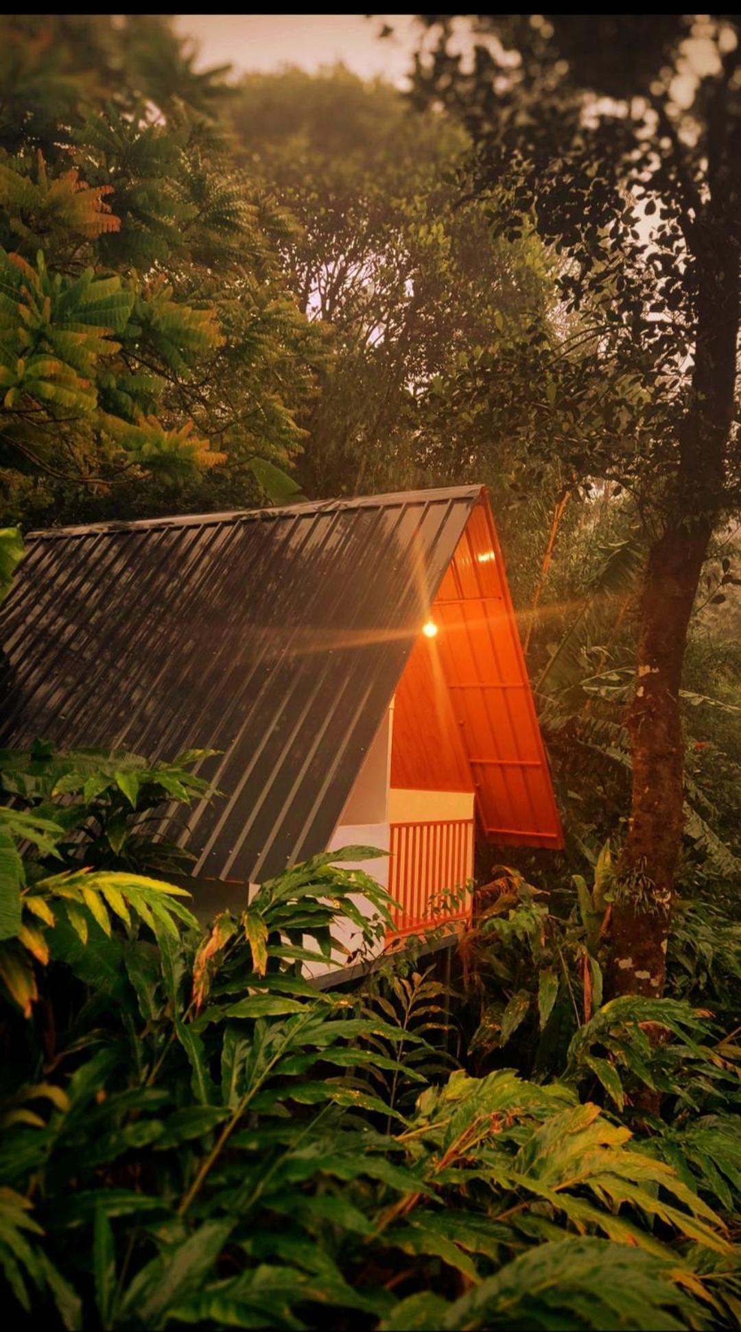 Munnar Home Stay Teadrops Plantation Villa Exteriör bild